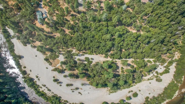 a view of a snow in a forest