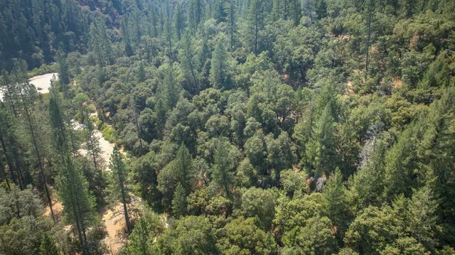 a view of a dirt road with large trees