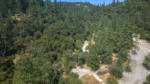 a view of a lake with a forest