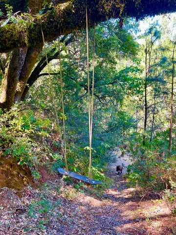 a view of an outdoor space