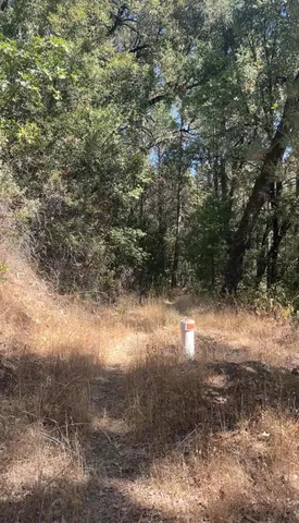 a view of outdoor space with a yard