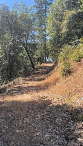 a view of a yard with an outdoor space