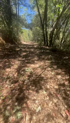 a view of a backyard of the house