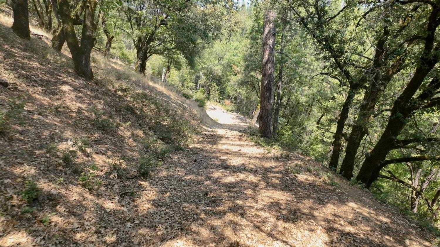 15037 Leiter Way Grass Valley, CA 95949 - Photo 9 of 47