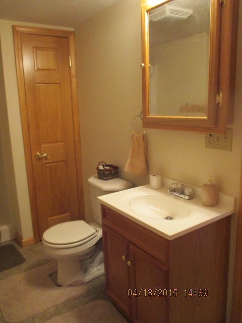 7767 East Mcbride Road Edmore, MI 48829 - Photo 20 of 29 1797533-19.JPG