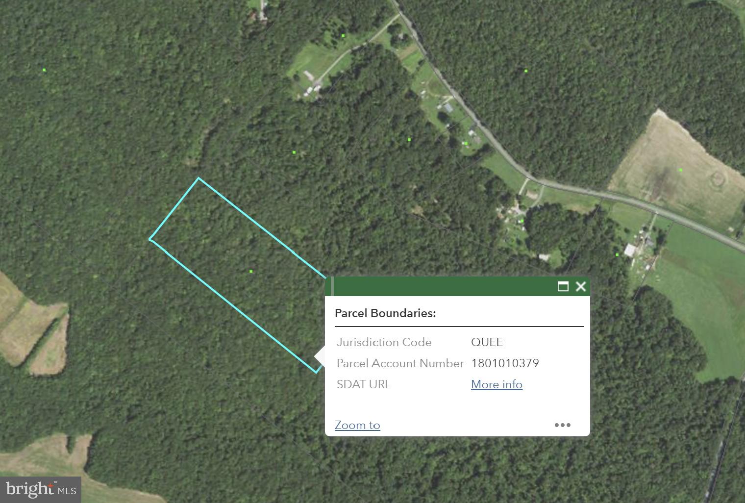 Peters Corner Road Sudlersville, MD 21668 - Photo 1 of 1 14.8 acres of woodland