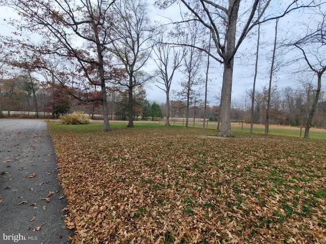 a view of a backyard with green space