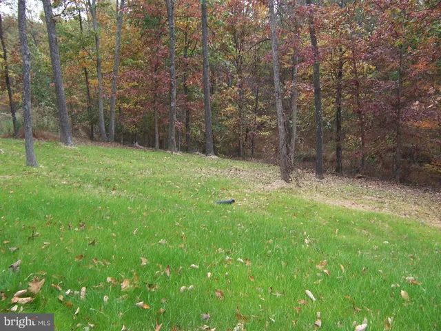 a backyard of a house with lots of green space and deers