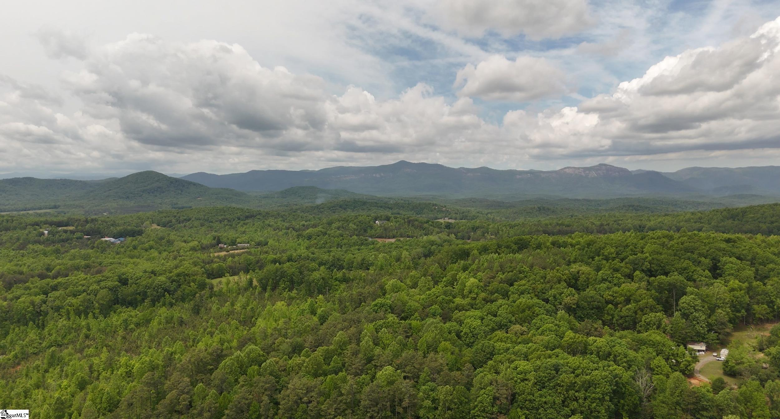 296 Long Mountain Road Pickens, SC 29671 - Photo 4 of 29