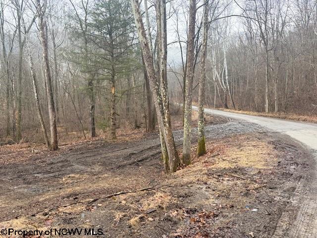 Tbd Irontown Road Independence, WV 26374 - Photo 11 of 30 Gallery Image 11