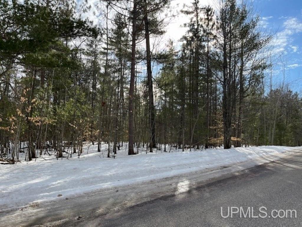 Lot 7 Powell Lake Road Wetmore, MI 49895 - Photo 14 of 16