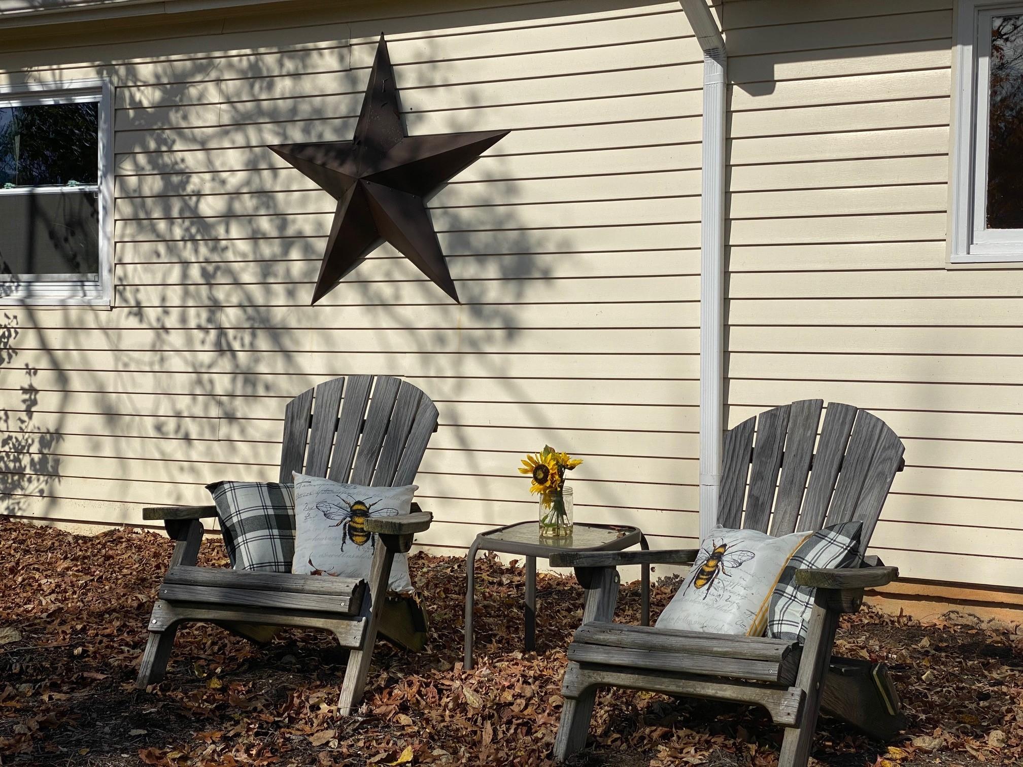 533 Diamond Road Salem, VA 24153 - Photo 2 of 40 Front Elevation - 2 chairs -close up- ni