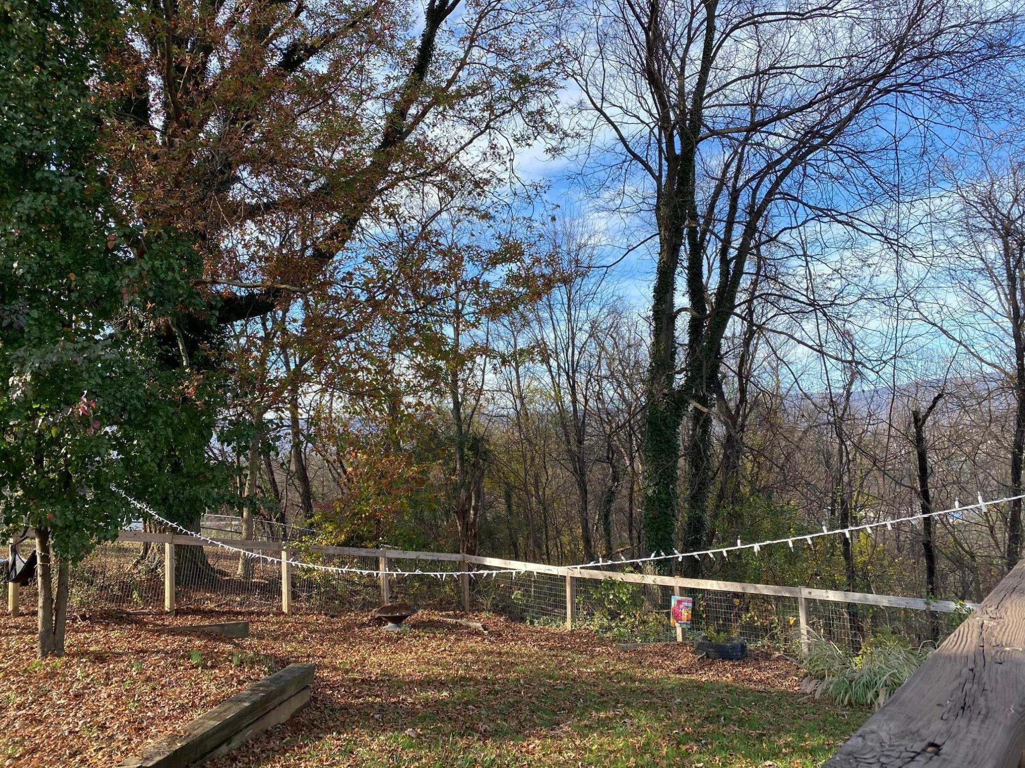 533 Diamond Road Salem, VA 24153 - Photo 33 of 40 Rear Yard - Looking at Strung Lights & F