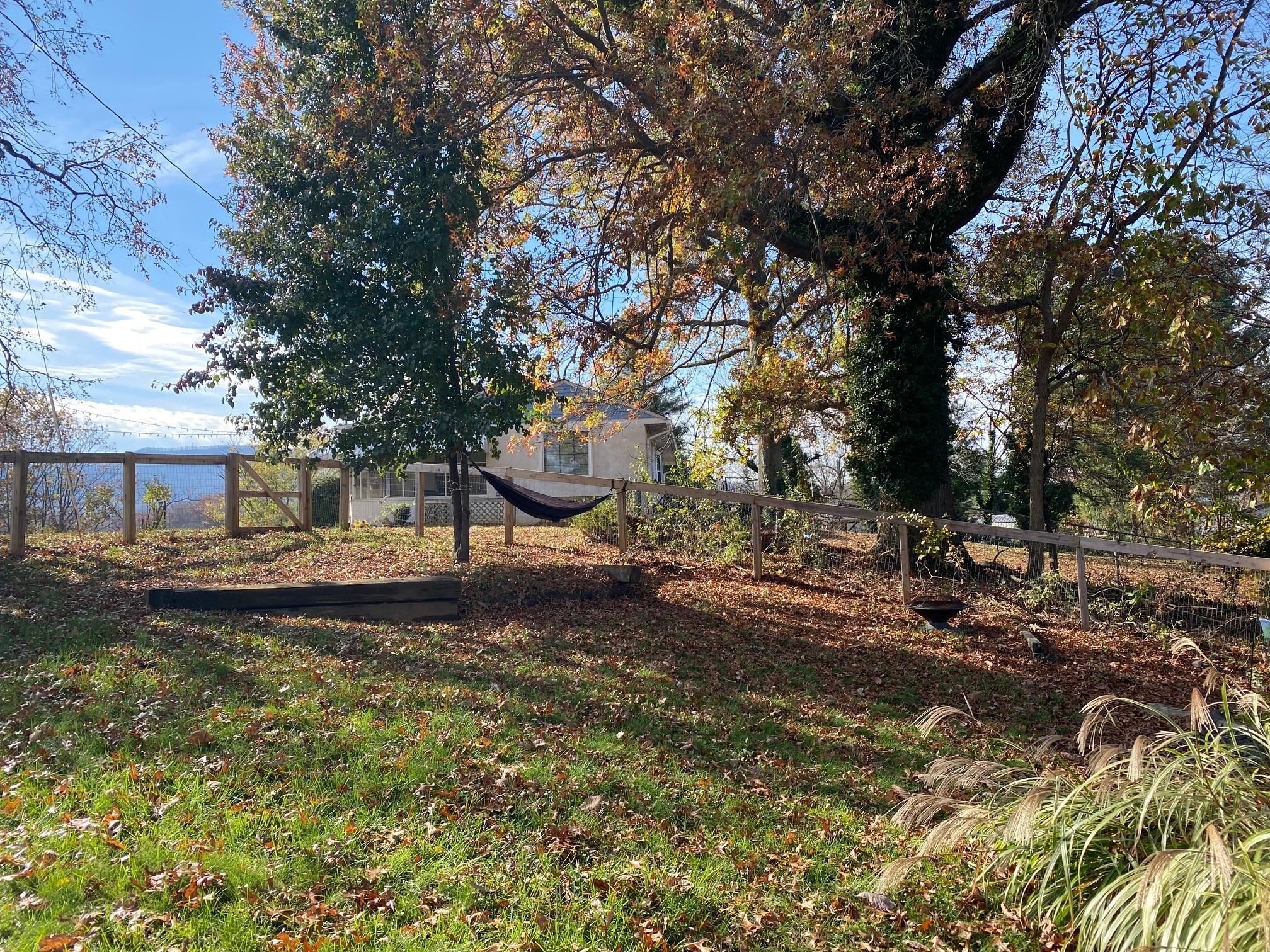533 Diamond Road Salem, VA 24153 - Photo 34 of 40 Rear Yard Hammock