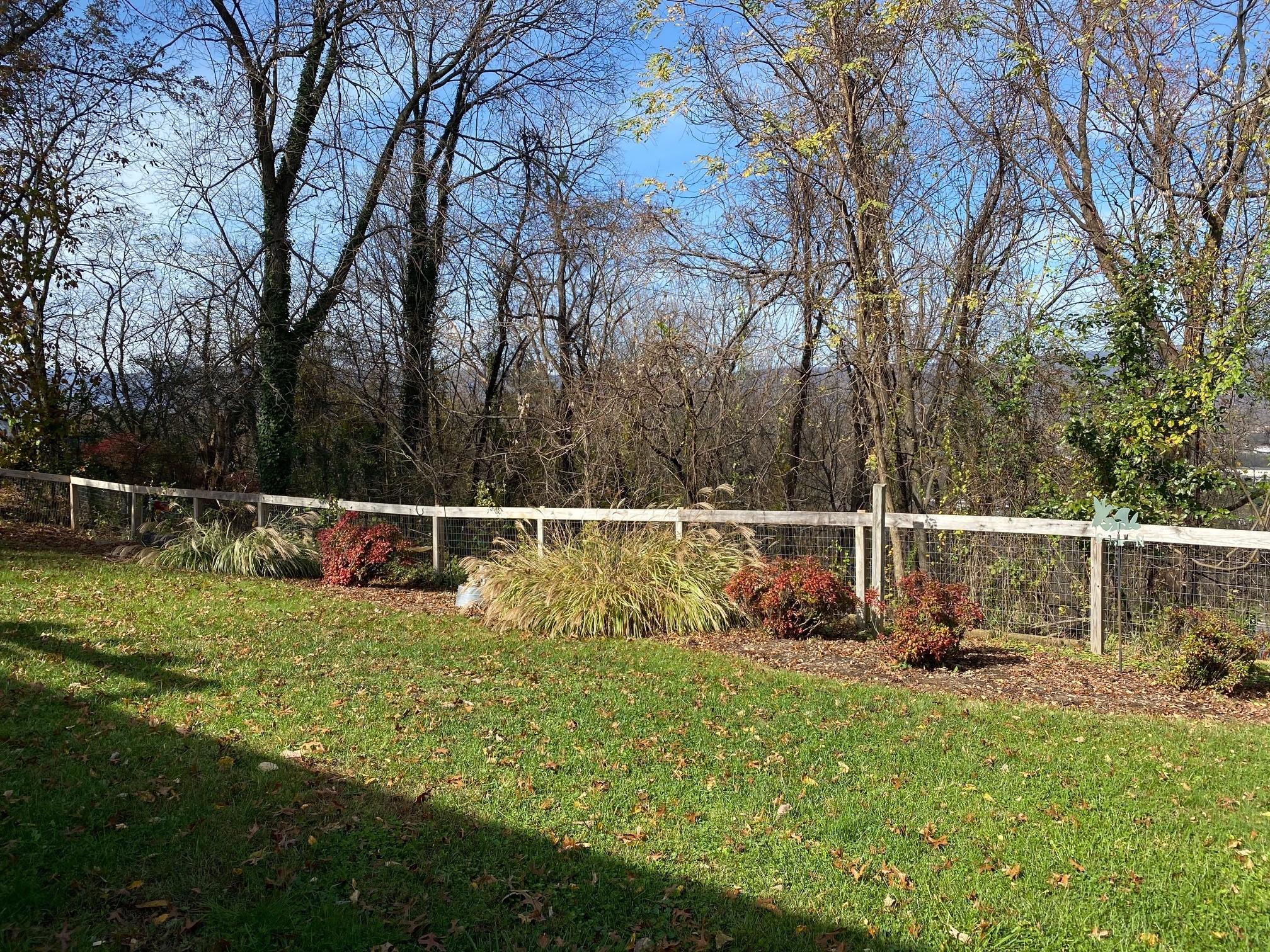 533 Diamond Road Salem, VA 24153 - Photo 35 of 40 Rear Yard