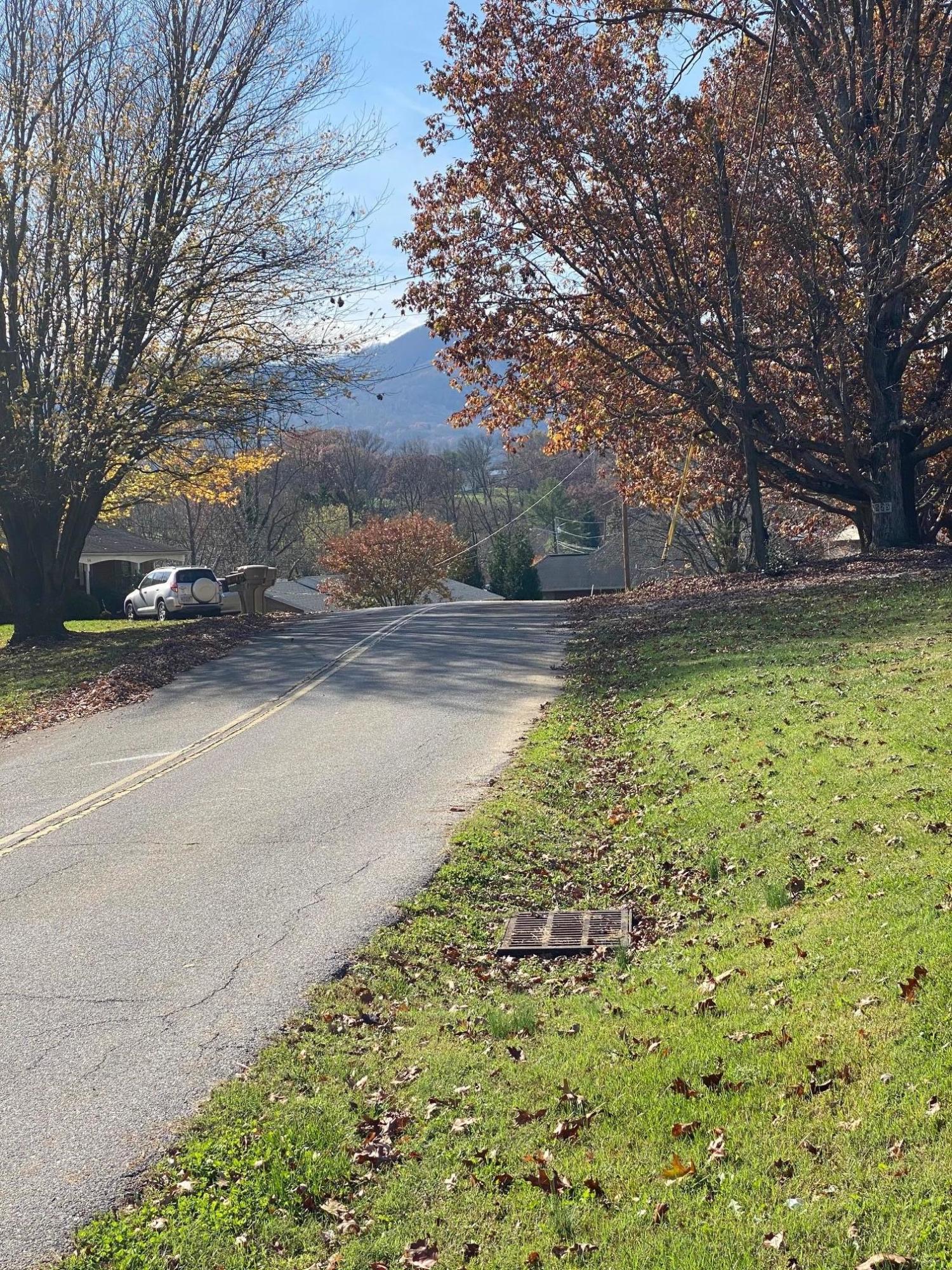 533 Diamond Road Salem, VA 24153 - Photo 38 of 40 Street View - Take Right out Driveway Ph