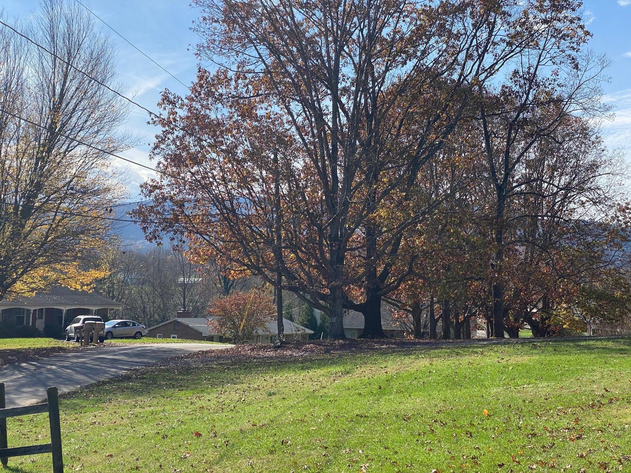 533 Diamond Road Salem, VA 24153 - Photo 40 of 40 Street View- leave driveway take Right