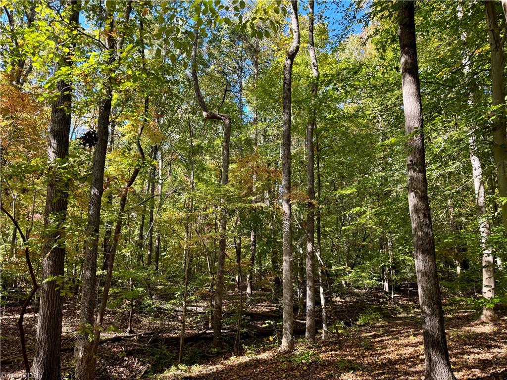 3625 Thayer Road Trinity, NC 27370 - Photo 11 of 22
