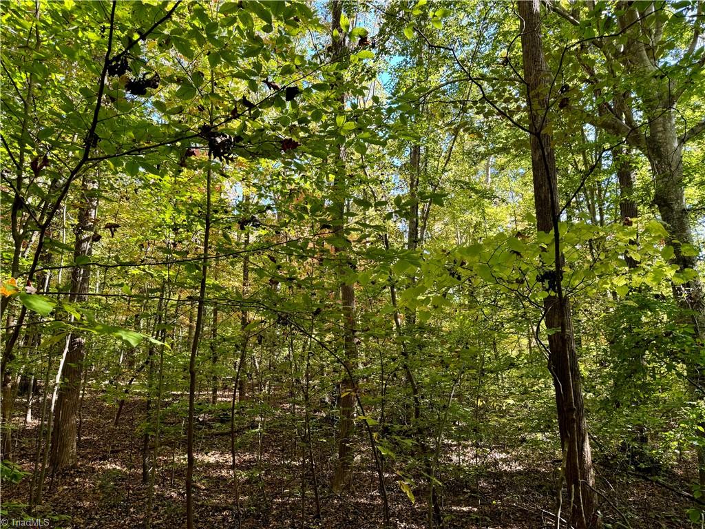 3625 Thayer Road Trinity, NC 27370 - Photo 7 of 22