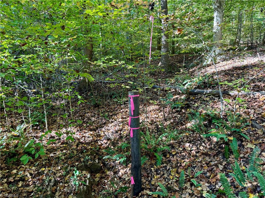 3625 Thayer Road Trinity, NC 27370 - Photo 9 of 22