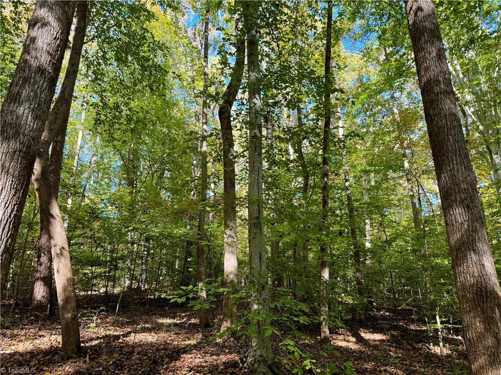 3625 Thayer Road Trinity, NC 27370 - Photo 10 of 22