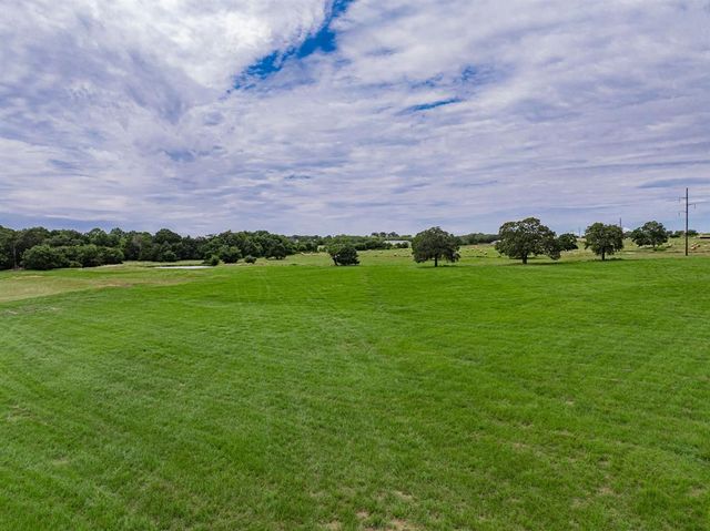 a view of a field with plants and trees