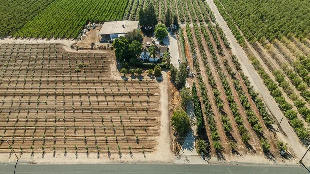 $729,000 | 41179 Road 52, Reedley, CA 93654