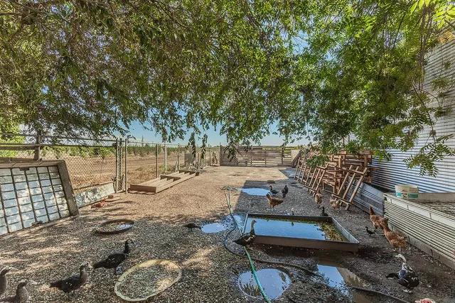 $729,000 | 41179 Road 52, Reedley, CA 93654