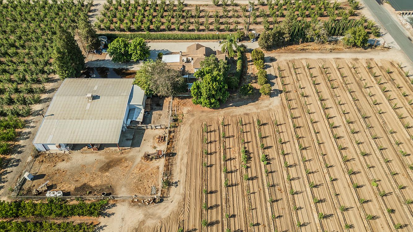 41179 Road 52 Reedley, CA 93654 - Photo 66 of 69