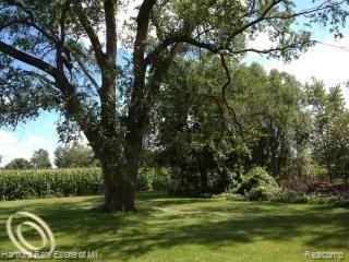 60920 Romeo Plank Road Ray, MI 48096 - Photo 3 of 17 60920 Romeo Plank Yard.jpg