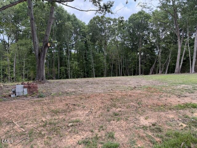 8 Heath Lane Roxboro, NC 27574 - Photo 3 of 13