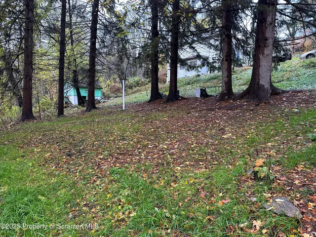 a view of outdoor space with trees