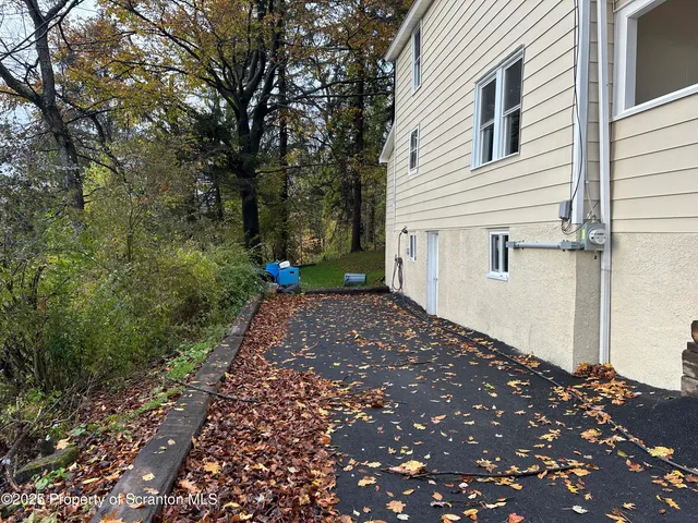 a view of a backyard with potted plants and large tree