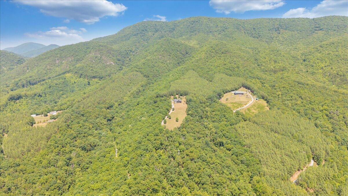 890 Blain Road Buchanan, VA 24066 - Photo 83 of 89 83-DJI_20260703155620_0021_D