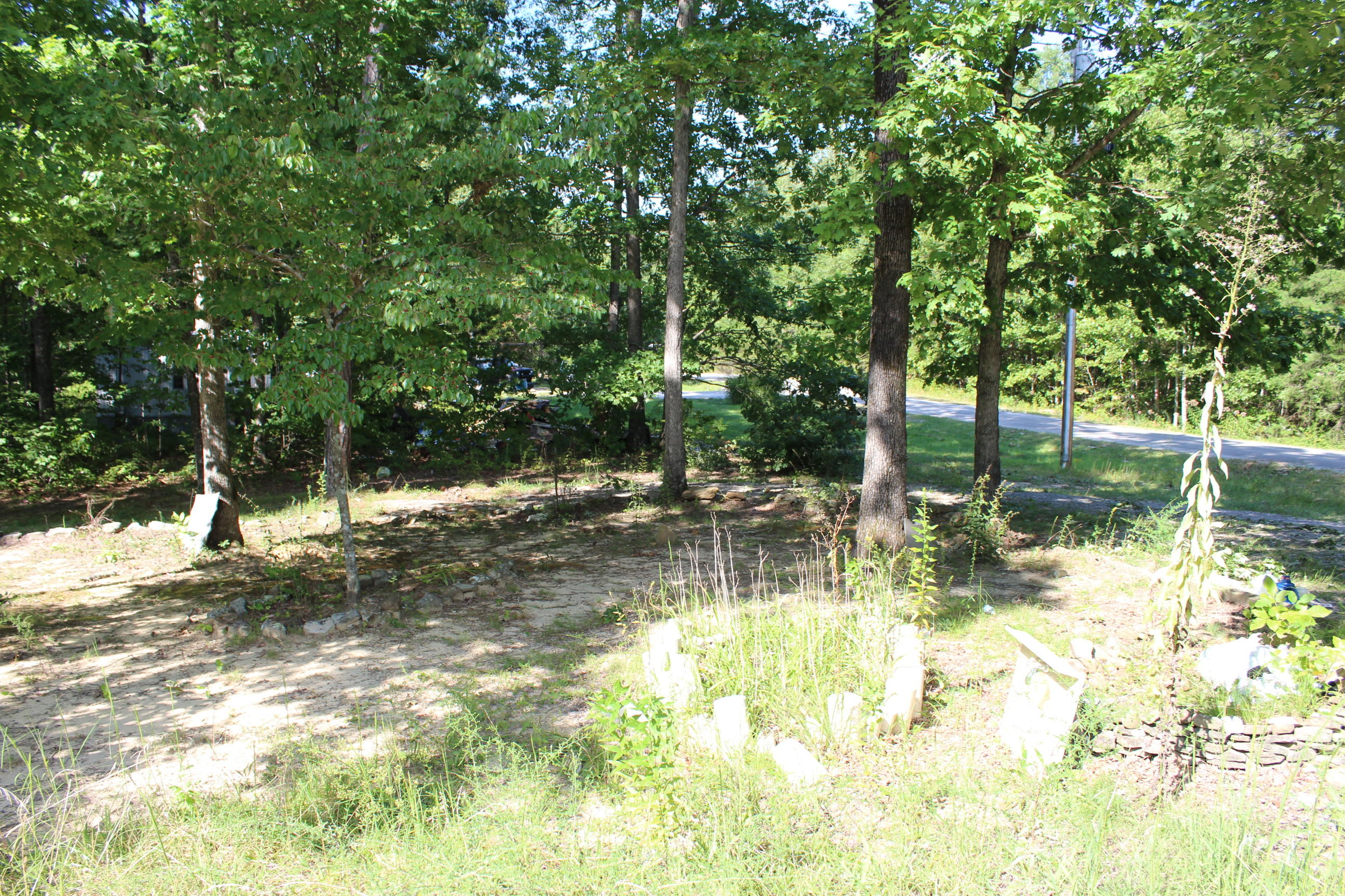 1019 Colony Road Grimsley, TN 38565 - Photo 8 of 9 IMG_5927