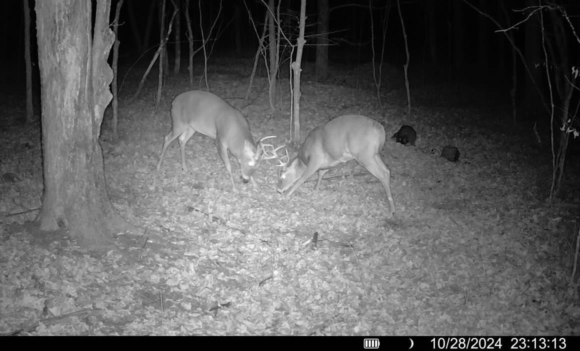 N11453 Cth F Phillips, WI 54555 - Photo 41 of 56 Gallery Image 41