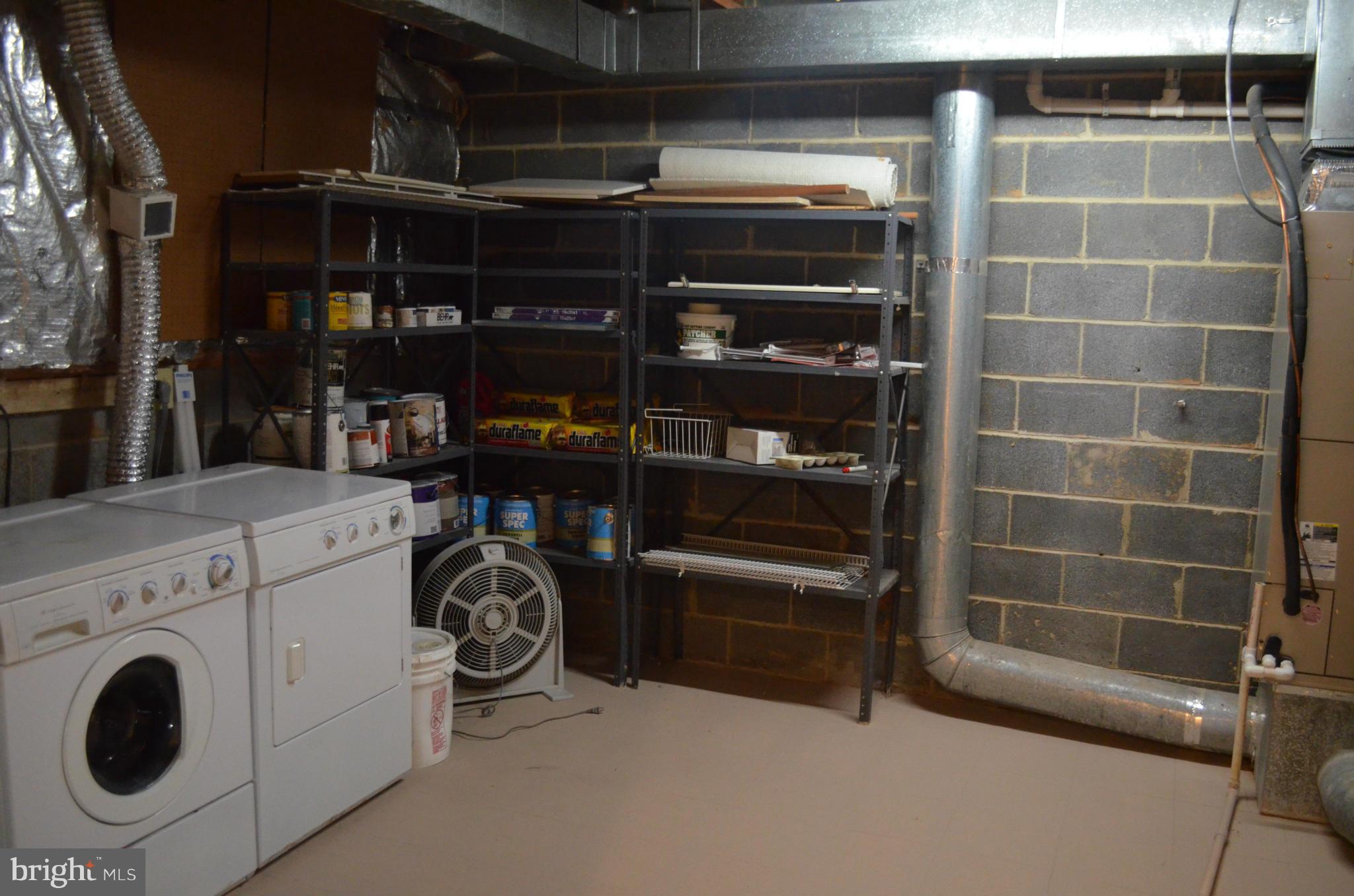 11103 Watermans Drive Reston, VA 20191 - Photo 27 of 27 Basement storage