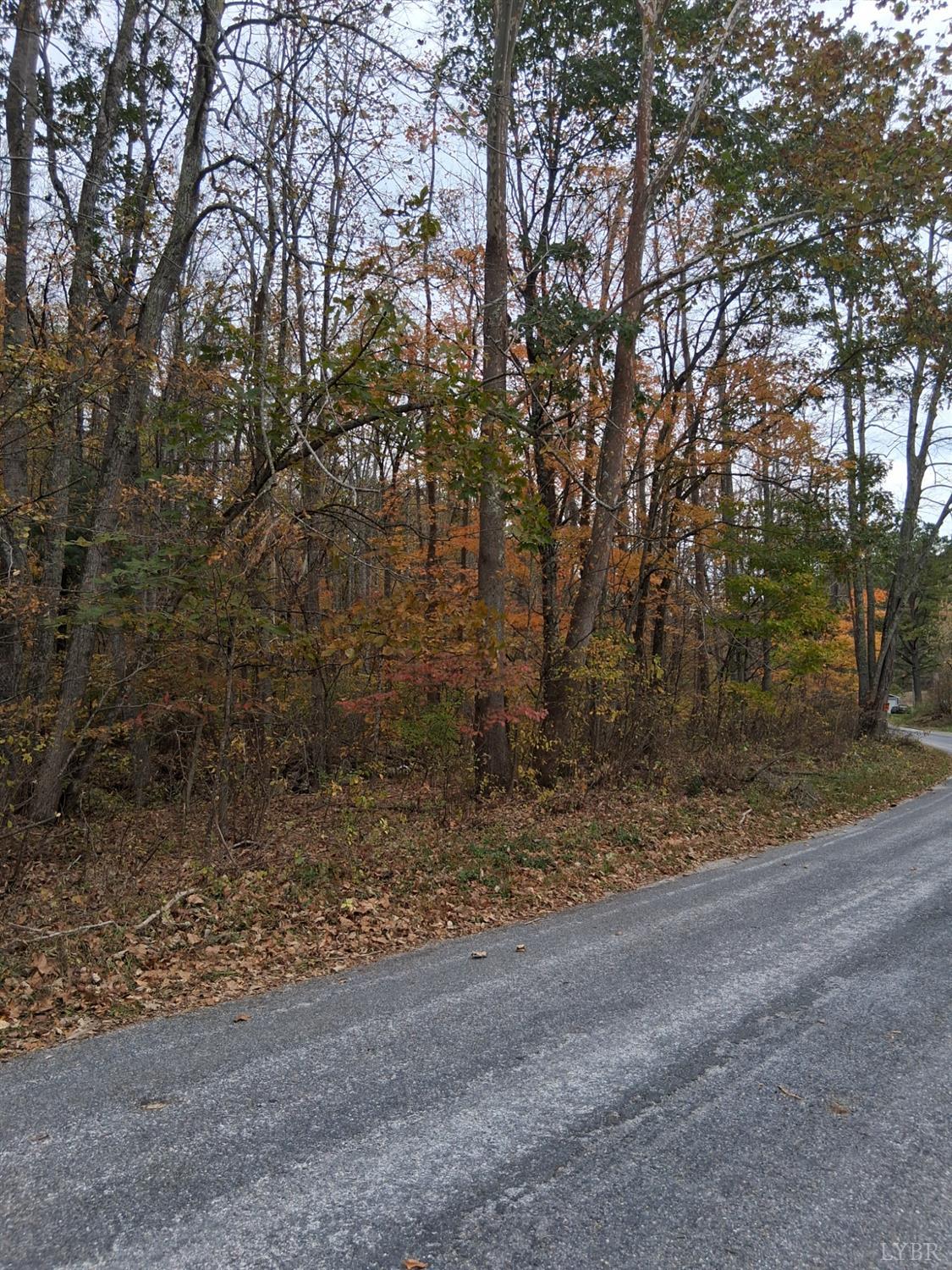 0 North Fork Amherst, VA 24521 - Photo 2 of 5 a view of a yard with large trees