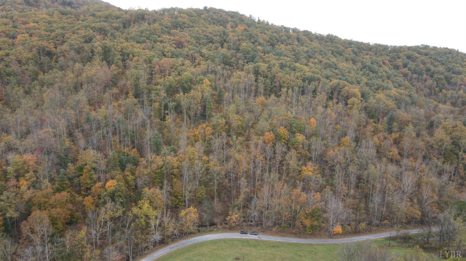 0 North Fork Amherst, VA 24521 - Photo 5 of 5 a view of a field with mountains in the background