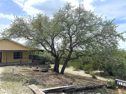 a view of a yard with plants and trees