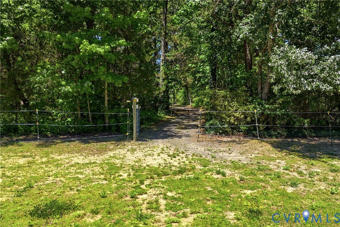 93 Faraway Road Saluda, VA 23149 - Photo 45 of 58 a view of a yard with plants