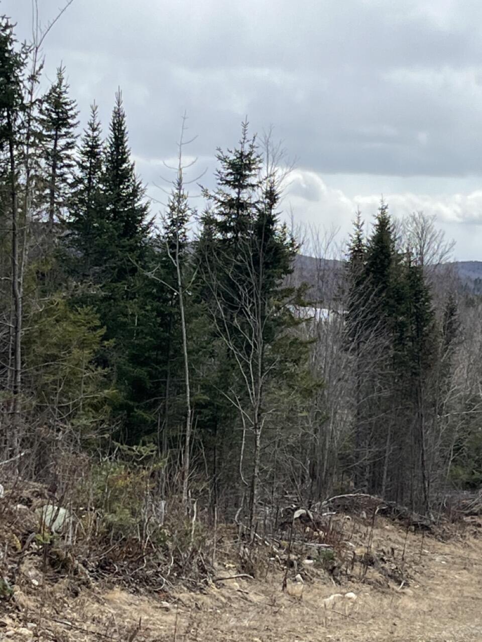 33 Rt 6 Highway Carroll Plt, ME 04487 - Photo 6 of 10
