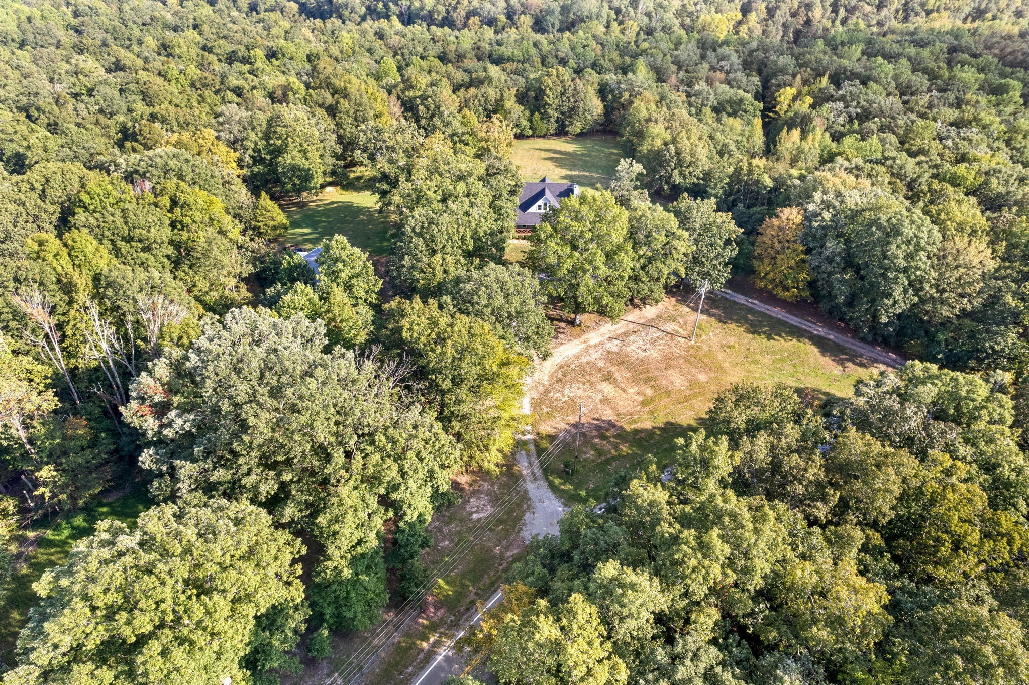 554 Hayes Ridge Road Indian Mound, TN 37079 - Photo 28 of 40 a view of a yard with large trees
