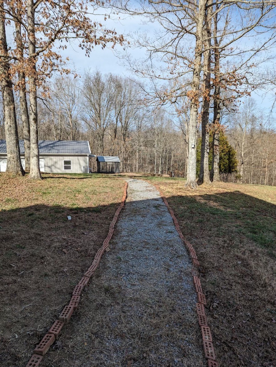 554 Hayes Ridge Road Indian Mound, TN 37079 - Photo 35 of 40 a view of a yard with a large tree