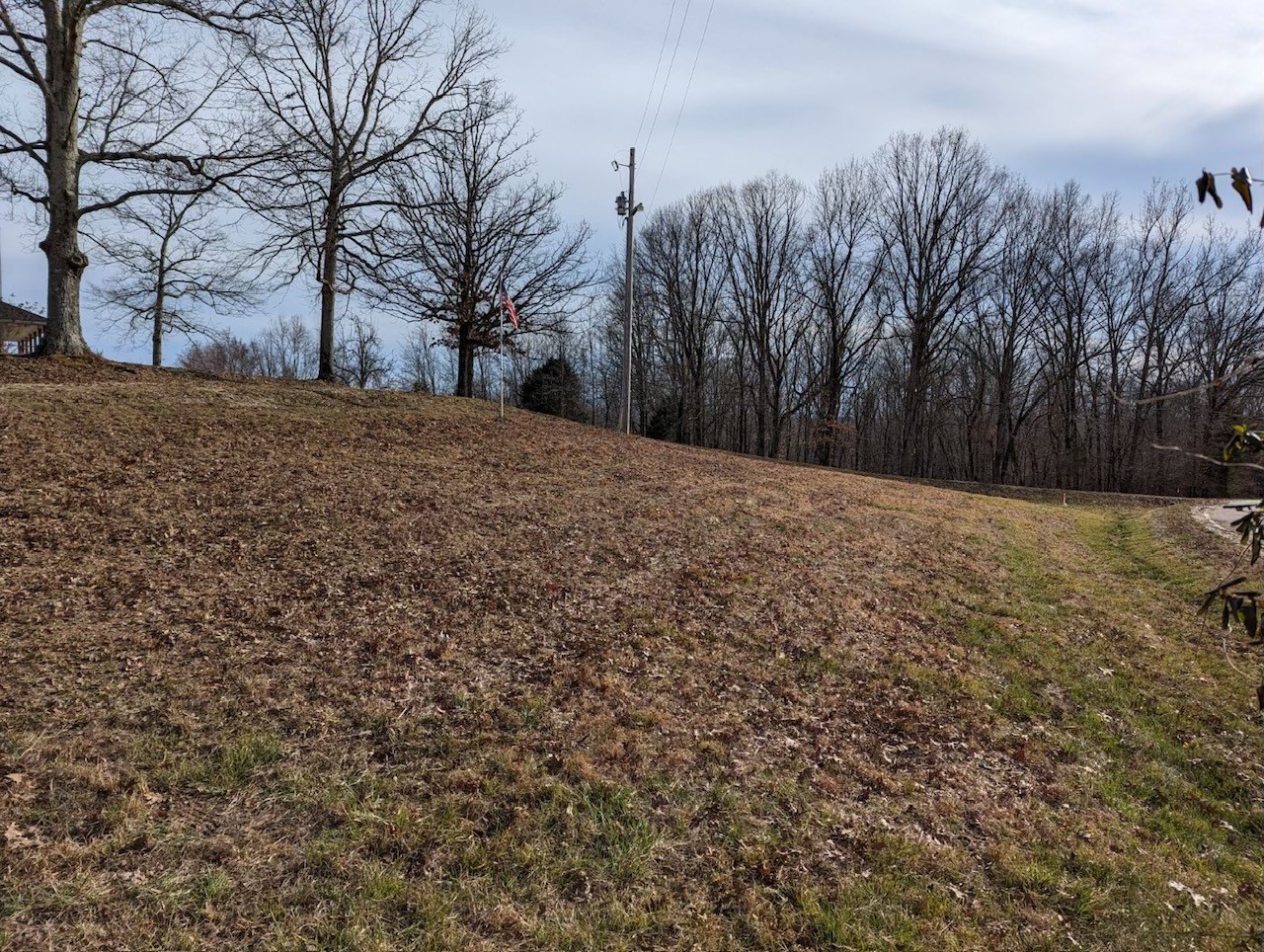 554 Hayes Ridge Road Indian Mound, TN 37079 - Photo 40 of 40 a view of a yard with trees in the background