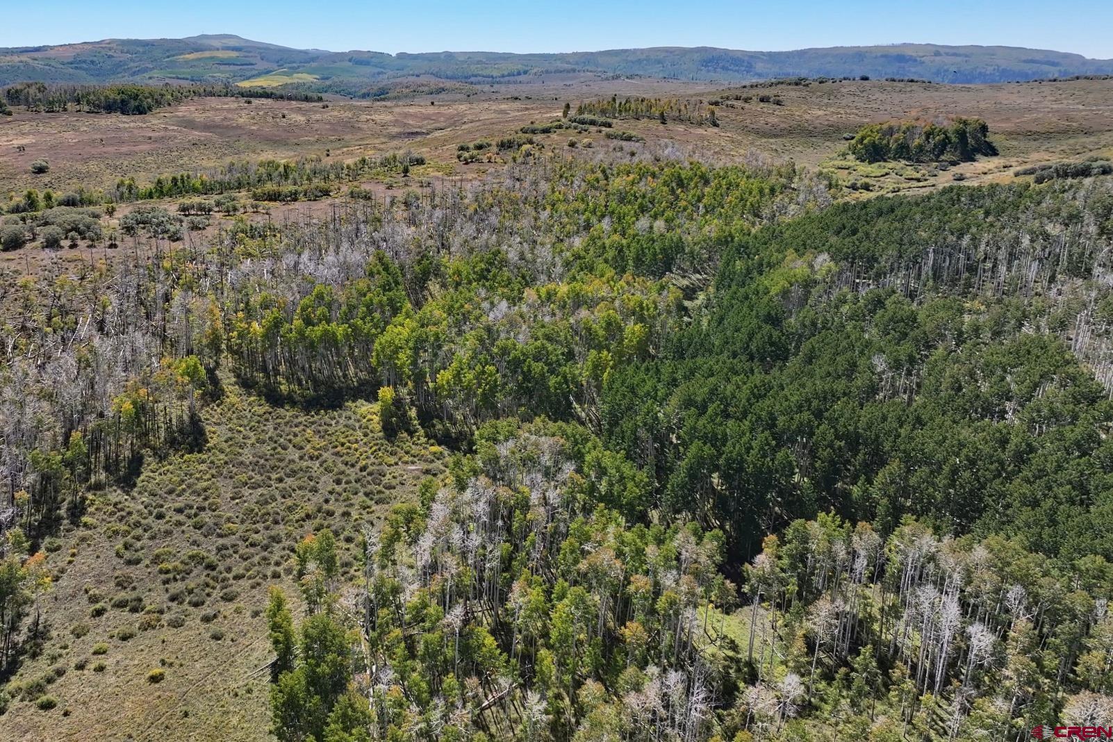 Tbd Divide Road Whitewater, CO 81527 - Photo 28 of 43 an aerial view of mountain with trees around