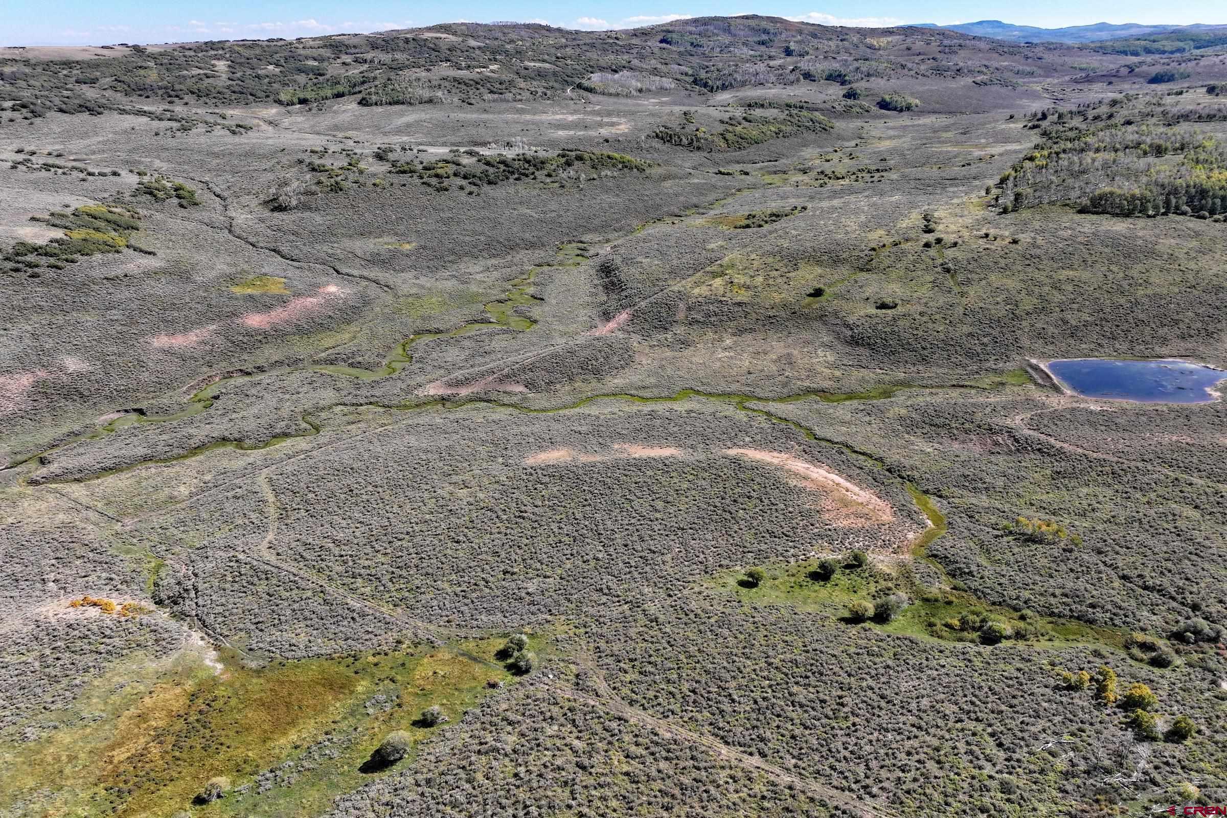 Tbd Divide Road Whitewater, CO 81527 - Photo 30 of 43 a view of a dry yard with mountain