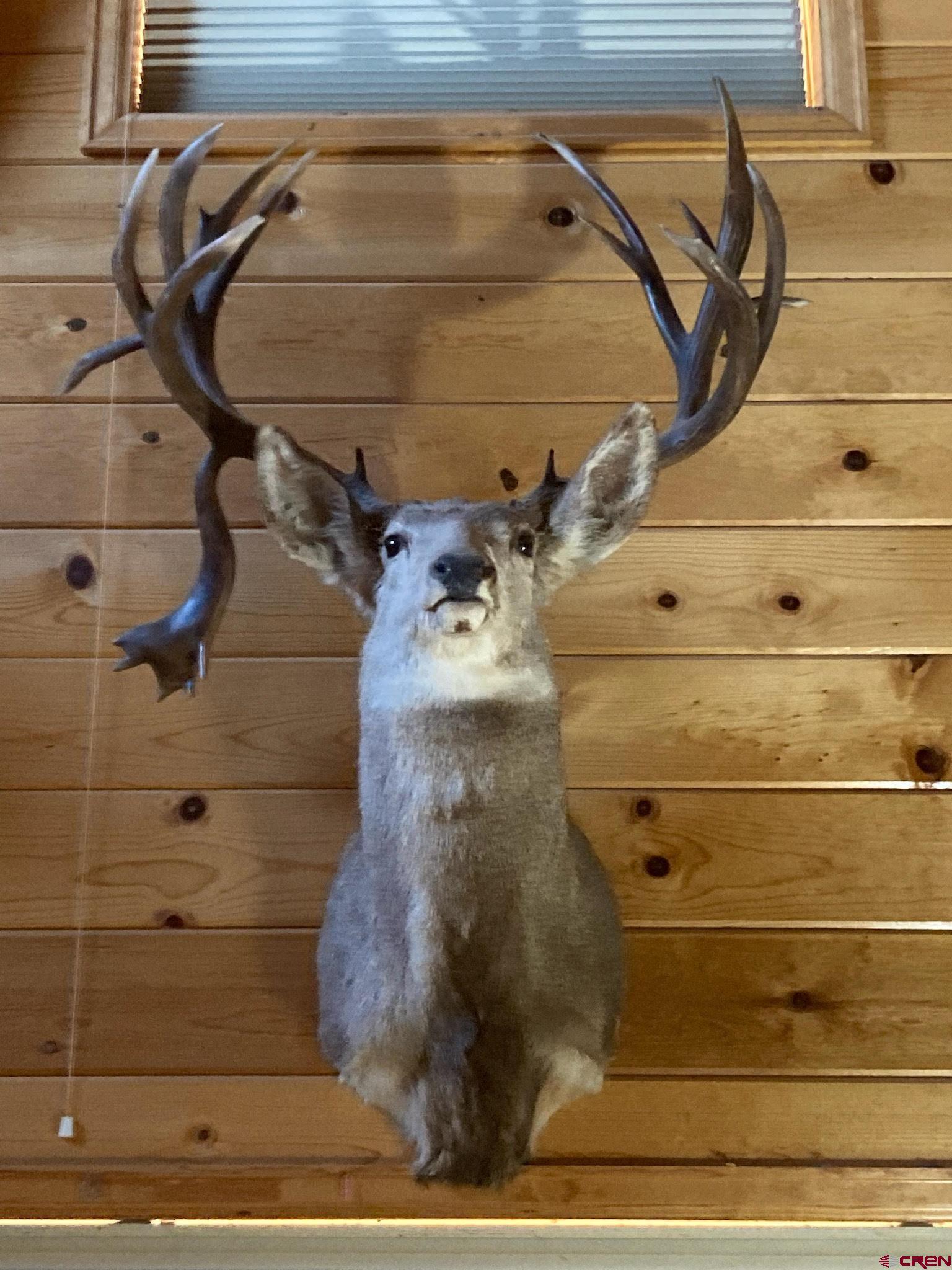 Tbd Divide Road Whitewater, CO 81527 - Photo 33 of 43 a close up of a shower