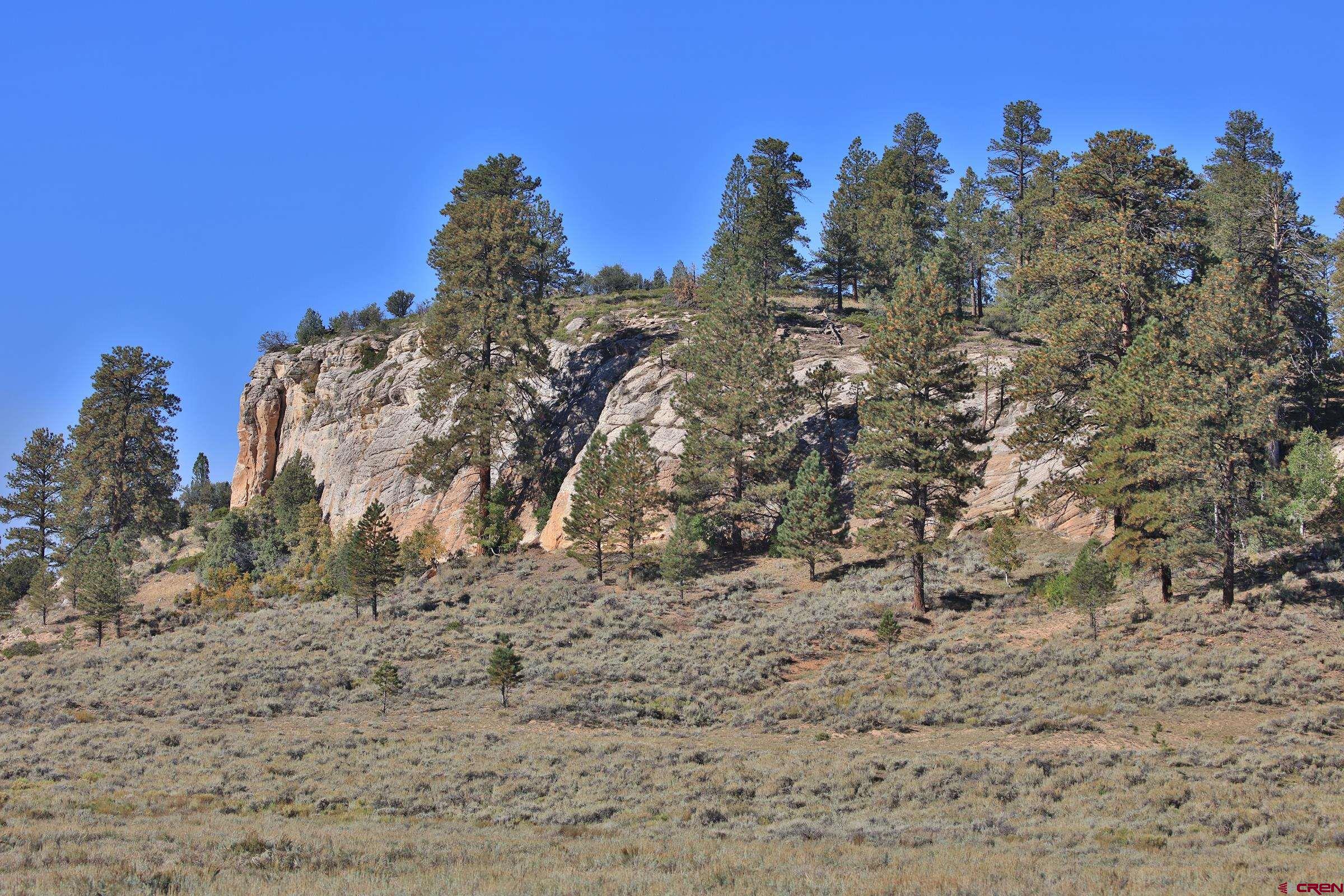 Tbd Divide Road Whitewater, CO 81527 - Photo 34 of 43 a view of a dry yard with lots of trees