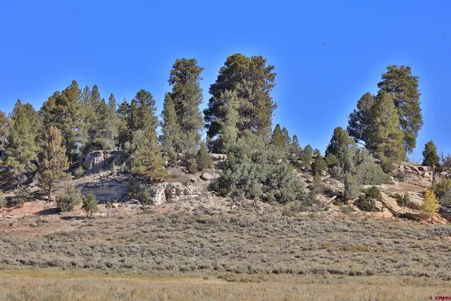 a view of a bathroom